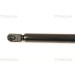 Gasfeder, Koffer-/Laderaum | 871043231 Gasfeder, Koffer-/Laderaum | 871043231
