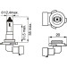 H10 12V 42W PURE LIGHT | BOSCH | KFZ-GLUEHLAMPE | 1987302083