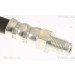 Bremsschlauch | 815011216 Bremsschlauch | 815011216