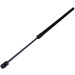 Gasfeder, Koffer-/Laderaum | 145703 Gasfeder, Koffer-/Laderaum | 145703