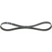 Keilrippenriemen FORD Fiesta Elastic 1987946142