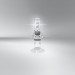 NIGHT BREAKER® LED SPEED H7 PX26D | 64210DWNBSP-1HB NIGHT BREAKER® LED SPEED H7 PX26D | 64210DWNBSP-1HB