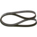 Keilrippenriemen | RENAULT,VW,TOYOTA,FIAT | 1987948479 Keilrippenriemen | RENAULT,VW,TOYOTA,FIAT | 1987948479