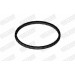 21 / Dichtung | Ford | 80316 21 / Dichtung | Ford | 80316
