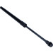 Gasfeder, Koffer-/Laderaum | 204873 Gasfeder, Koffer-/Laderaum | 204873