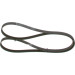 Keilrippenriemen | HYUNDAI Terracan | 1987946292 Keilrippenriemen | HYUNDAI Terracan | 1987946292