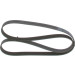 Keilrippenriemen | TOYOTA | 1987947561 Keilrippenriemen | TOYOTA | 1987947561
