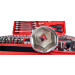 ROOKS Werkzeug-Set 1/2", 3/8", 1/4" – 216-teilig, für Profis ROOKS Werkzeug-Set 1/2", 3/8", 1/4" – 216-teilig, für Profis