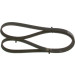 Keilrippenriemen | NISSAN,HYUNDAI,HONDA,KIA | 1987948365 Keilrippenriemen | NISSAN,HYUNDAI,HONDA,KIA | 1987948365