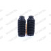 Protection Kit-Staubschutzsatz VA | CITROEN C4,PEUGEOT 307 00 | PK124 Protection Kit-Staubschutzsatz VA | CITROEN C4,PEUGEOT 307 00 | PK124