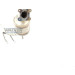 92 / Katalysator | VW Up,SKODA Citigo 1.0i 10 | 28349 92 / Katalysator | VW Up,SKODA Citigo 1.0i 10 | 28349