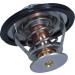 Thermostat, Kühlmittel | 352317100390 Thermostat, Kühlmittel | 352317100390
