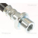 Bremsschlauch | 815013286 Bremsschlauch | 815013286
