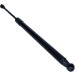 Gasfeder, Koffer-/Laderaum | 204873 Gasfeder, Koffer-/Laderaum | 204873