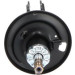 KAVO PARTS Federungsdämpfer | SSA-9013 KAVO PARTS Federungsdämpfer | SSA-9013