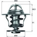 Thermostateinsatz mit Dichtung | VAG 1.1-2.0i -94 | TX 13 71D Thermostateinsatz mit Dichtung | VAG 1.1-2.0i -94 | TX 13 71D