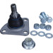 Gelenk - Radaufhängung Fiat P. Ducato 06- Le/Pr Q24 | QS1031/HQ Gelenk - Radaufhängung Fiat P. Ducato 06- Le/Pr Q24 | QS1031/HQ