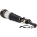 Arnott Luftfederbein VA li | MERCEDES CL 4Matic,S 4Matic 06 | AS-2853 Arnott Luftfederbein VA li | MERCEDES CL 4Matic,S 4Matic 06 | AS-2853