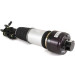 ARNOTT Fahrwerksfeder | AS-2785