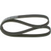 1 987 946 051 Keilrippenriemen 1 987 946 051 Keilrippenriemen