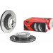 Bremsscheibe HA Xtra | BMW 1, 2, 3, 4 06 | 09.9793.1X Bremsscheibe HA Xtra | BMW 1, 2, 3, 4 06 | 09.9793.1X