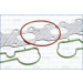 Dichtungssatz, Zylinderkopf | 52172700 Dichtungssatz, Zylinderkopf | 52172700