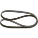 Keilrippenriemen | RENAULT,NISSAN,MG,TOYOTA | 1987948413 Keilrippenriemen | RENAULT,NISSAN,MG,TOYOTA | 1987948413