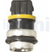 DELPHI Temperatursensor TS10245-12B1