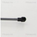 Gasfeder, Koffer-/Laderaum | 871038248 Gasfeder, Koffer-/Laderaum | 871038248
