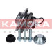 KAMOKA Radlagersatz 5500137