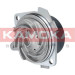 KAMOKA Wasserpumpe | T0012 KAMOKA Wasserpumpe | T0012