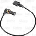 Impulsgeber, Kurbelwelle | 254013 Impulsgeber, Kurbelwelle | 254013