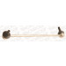 MONROE Stange/Strebe, Stabilisator | L29621 MONROE Stange/Strebe, Stabilisator | L29621