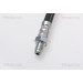 Bremsschlauch | 815016242 Bremsschlauch | 815016242