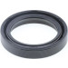 Dichtring | 01027786B Dichtring | 01027786B
