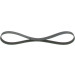 Keilrippenriemen | FORD Focus, Mondeo 07 | 1987946147