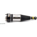 Arnott Luftfederbein HA | JAGUAR XJ X350,X358 04 | AS-2891