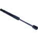 Gasfeder, Motorhaube | 234457