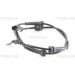 Sensor, Raddrehzahl | 818025403 Sensor, Raddrehzahl | 818025403