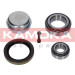 KAMOKA Radlagersatz | 5600061 KAMOKA Radlagersatz | 5600061