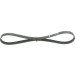 Keilrippenriemen FORD,MAZDA,VOLVO Elastic 1987946121