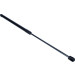 Gasfeder, Koffer-/Laderaum | 12-0253 Gasfeder, Koffer-/Laderaum | 12-0253