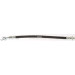 Bremsschlauch | 815014253 Bremsschlauch | 815014253