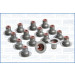57043600 Dichtungssatz, Ventilschaft