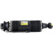 Arnott Luftfederbein HA re | MERCEDES SL AMG 02 | SK-2419