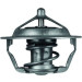 Thermostateinsatz mit Dichtung | PSA 1,8/2,0i FIAT/ALFA | TX 101 83D