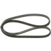 Keilrippenriemen | MAZDA,FORD | 1987948359 Keilrippenriemen | MAZDA,FORD | 1987948359