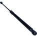 Gasfeder, Koffer-/Laderaum | 176018 Gasfeder, Koffer-/Laderaum | 176018