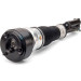 Arnott Luftfederbein VA | MERCEDES S 4Matic 05-12 | AS-2540