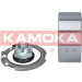 KAMOKA Radlagersatz 5600055